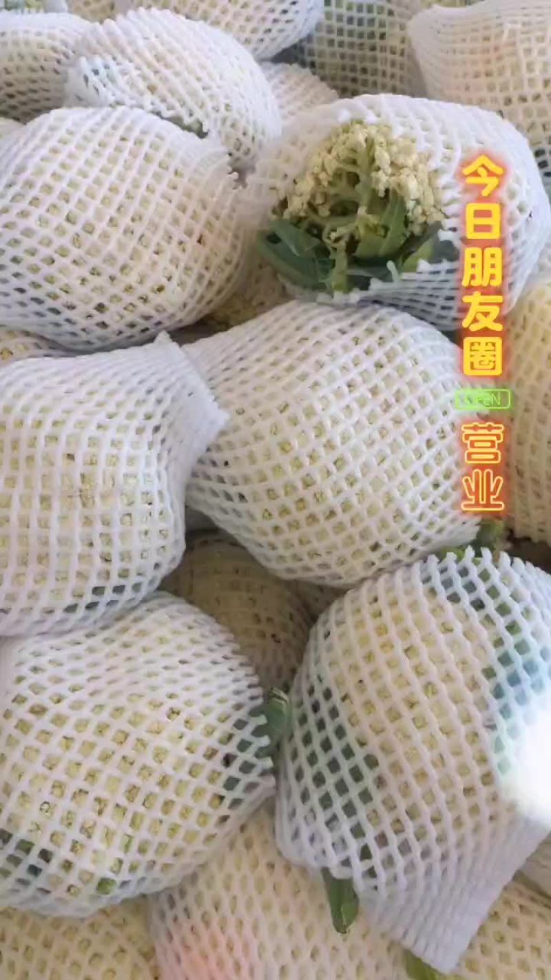 有机花，西兰花