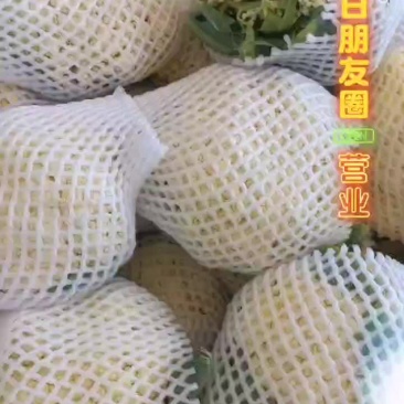 有机花，西兰花
