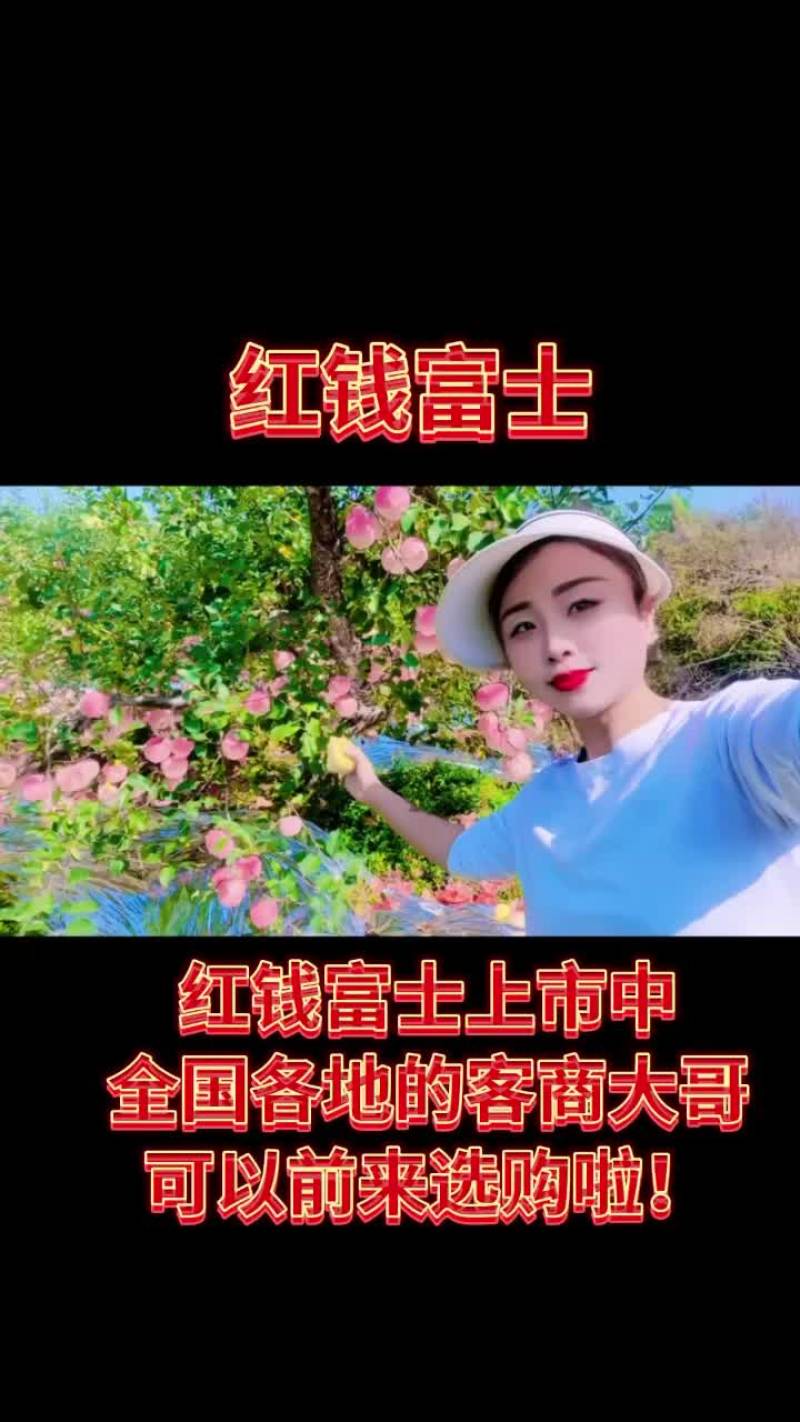 红钱富士