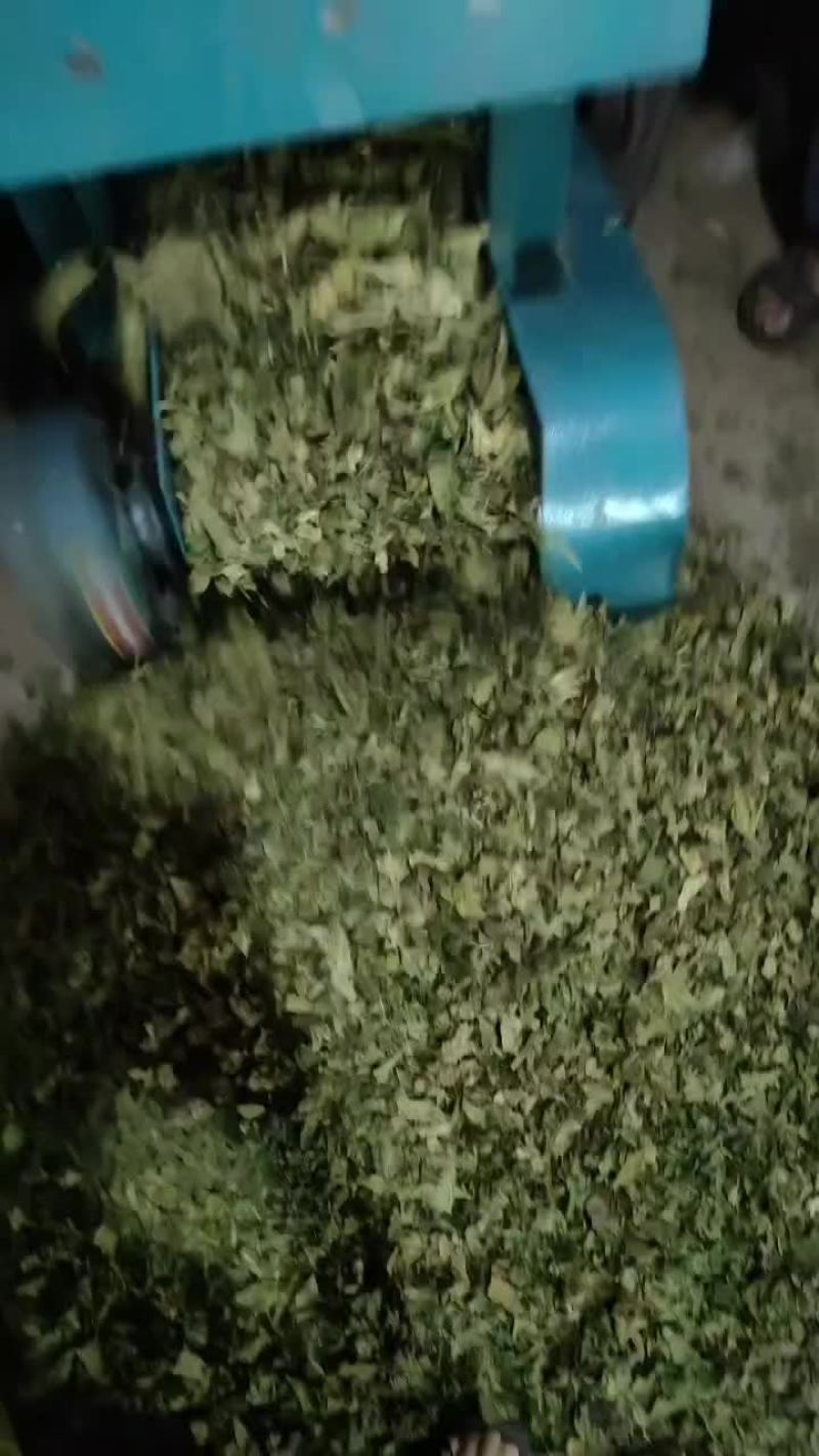桑叶产地一手货源，大量供货，常年有质量保证，诚信经营！