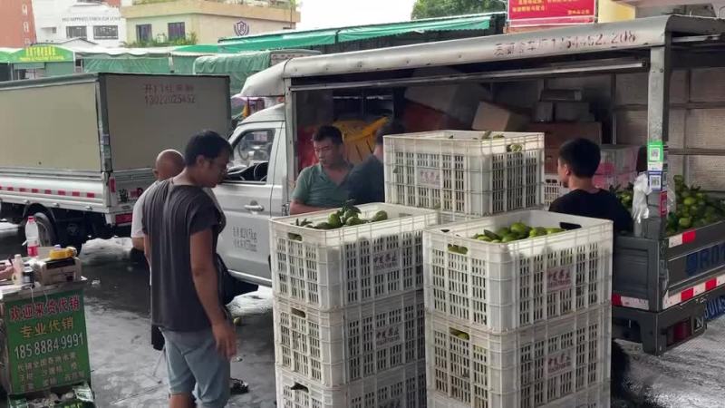 蜜桔冰糖橙蜜柚冬枣沃柑沙糖桔耙耙柑