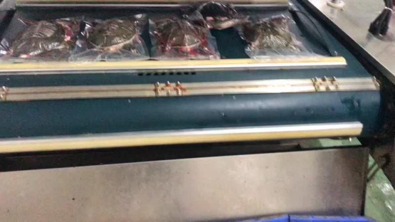 精品外塘大甲鱼净膛2斤以上3去甲鱼，即开即用饭店酒楼