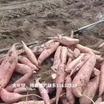 烟薯