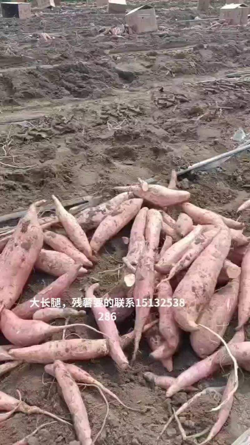 烟薯