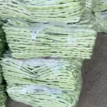 精品白不老
