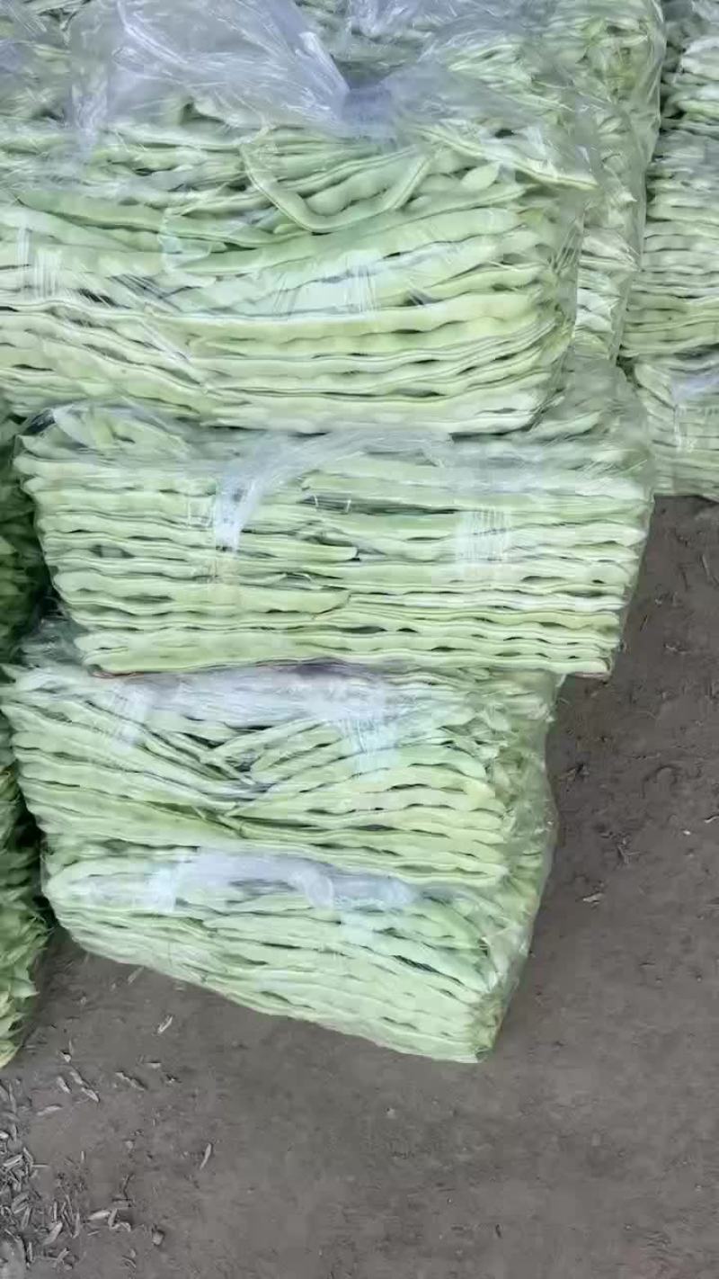 精品白不老
