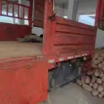 产地直销就选洛阳万邦优品汇货源充足～价格优势～质量保证