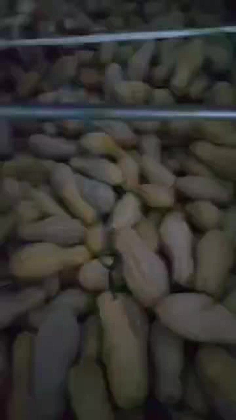 产地直销就选洛阳万邦优品汇货源充足～价格优势～质量保证