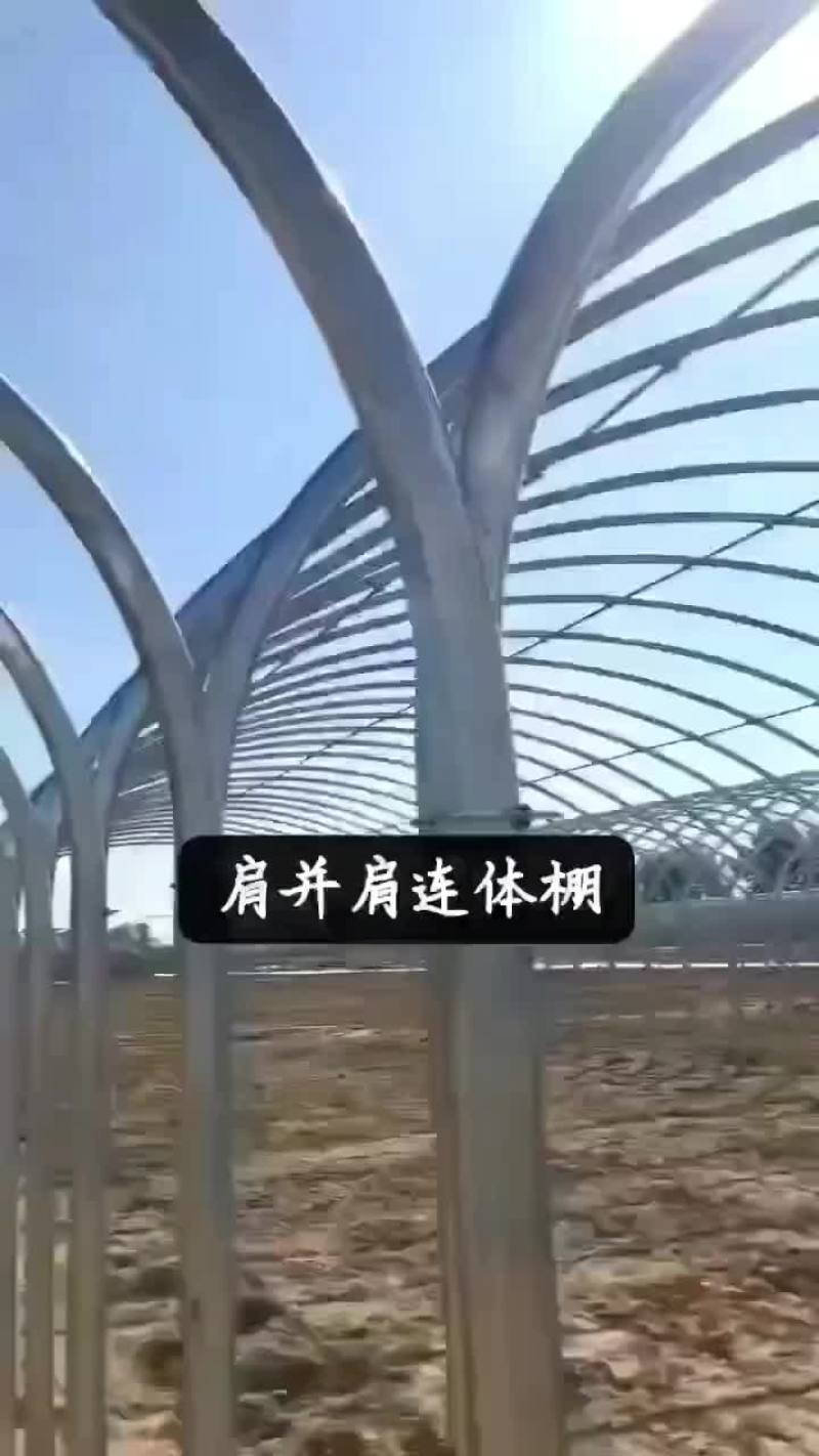 肩并肩连体大棚
