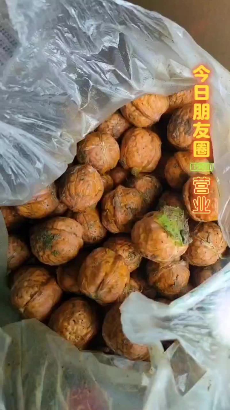 核桃