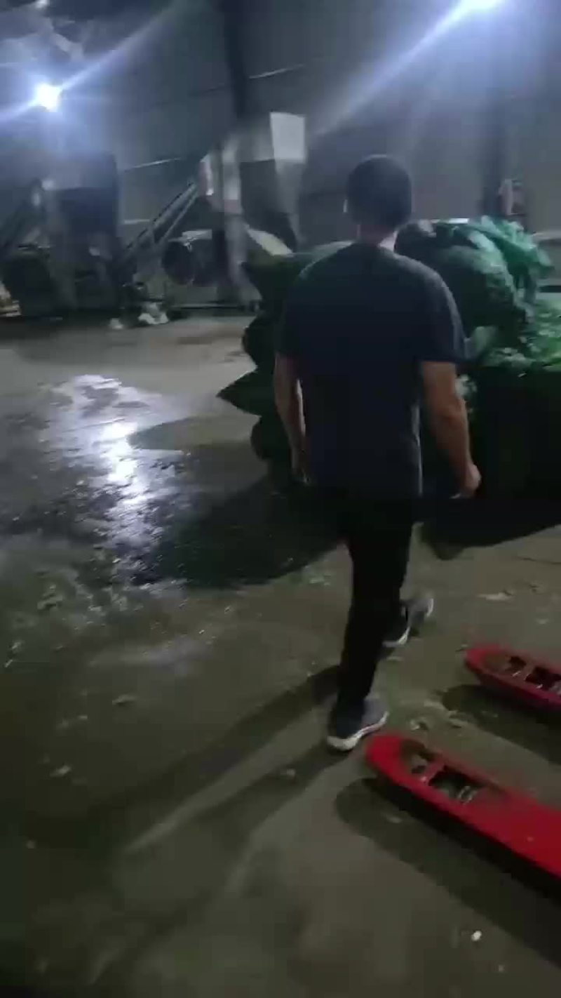 大青豆，打米豆，量大