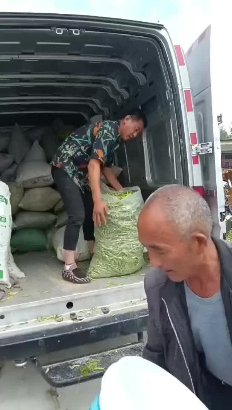 大青豆,打米豆,量大