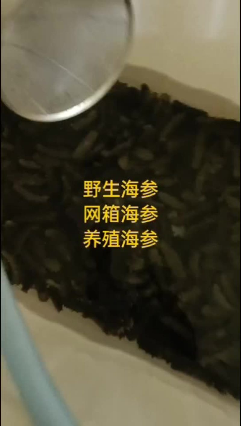 海参