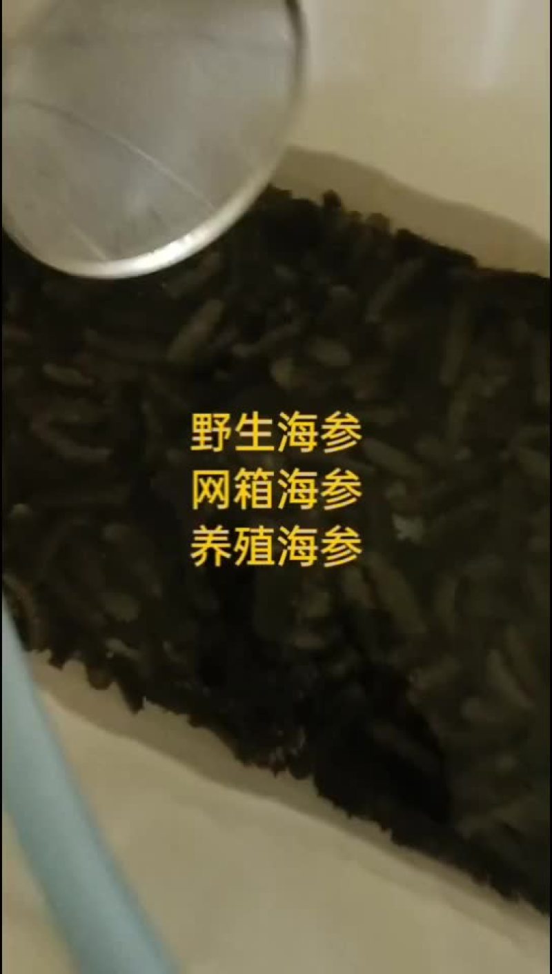 海参