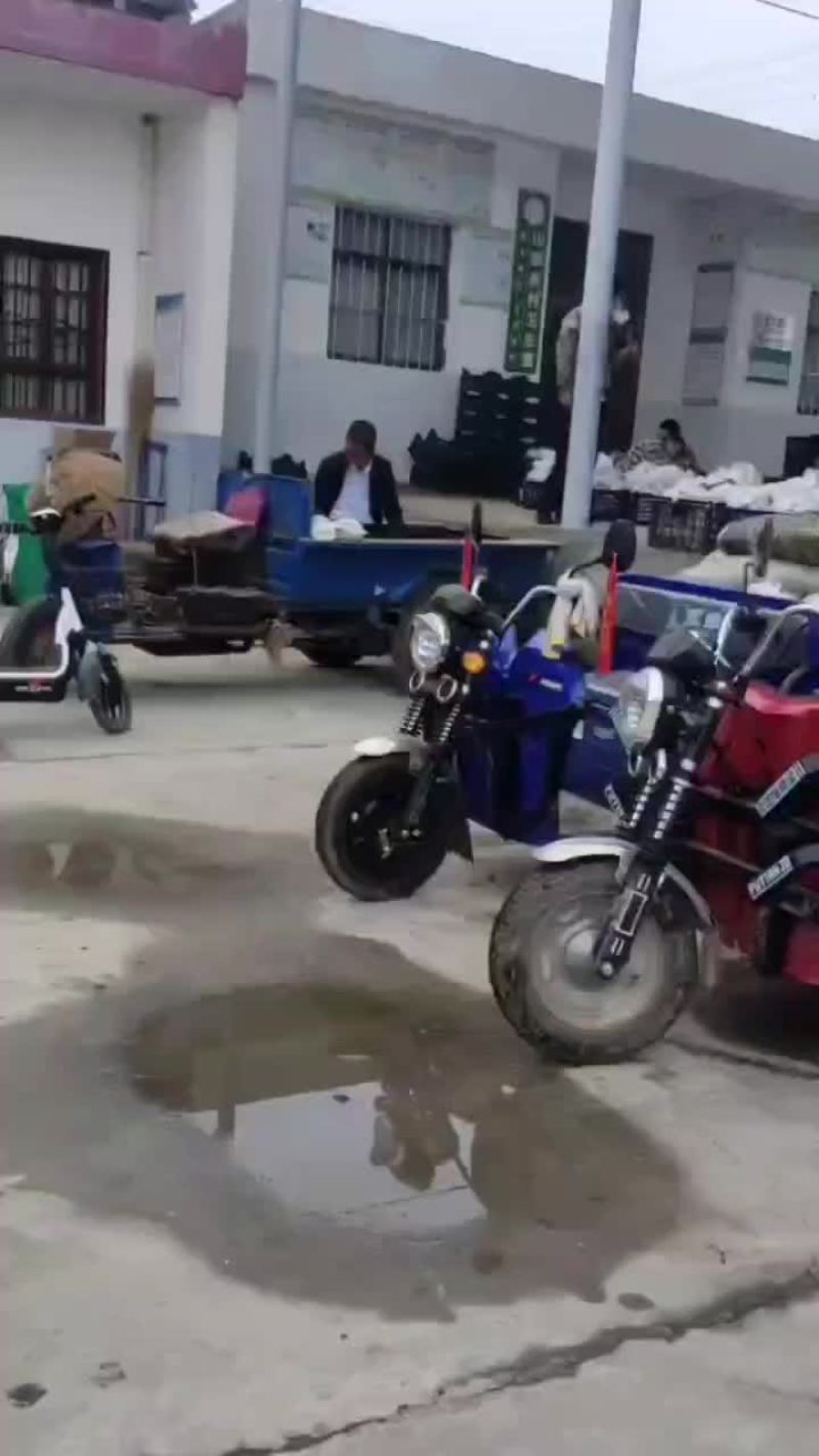 礼泉精品红提葡萄，高山地区优质红提。
