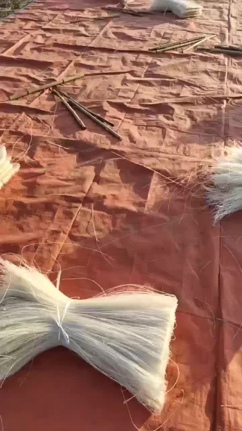 卢龙纯白薯粉条