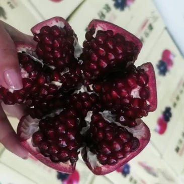 软籽酸石榴