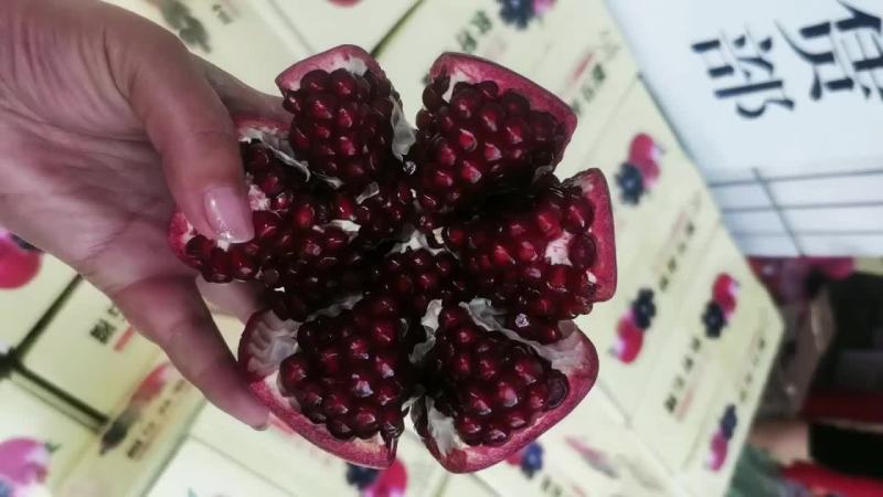 软籽酸石榴