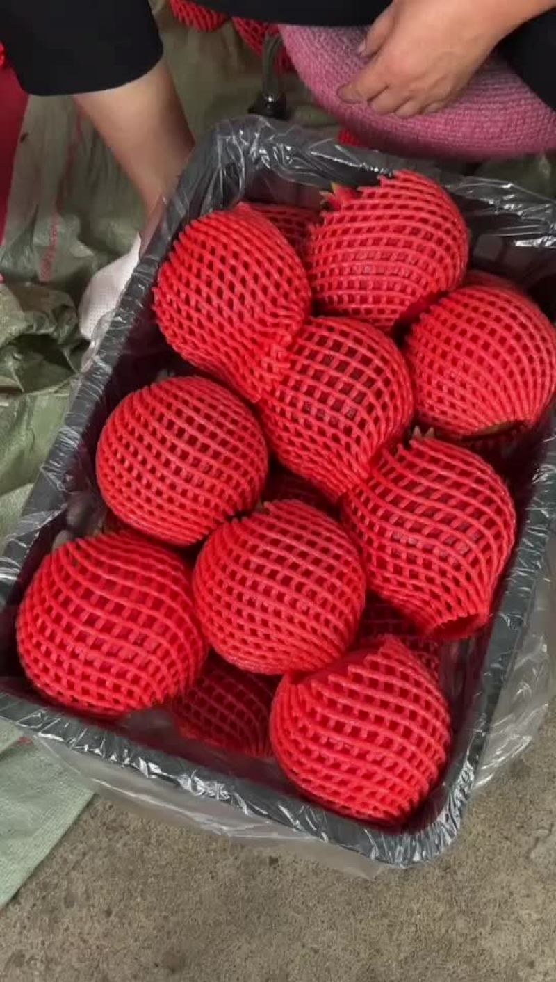 软籽酸石榴