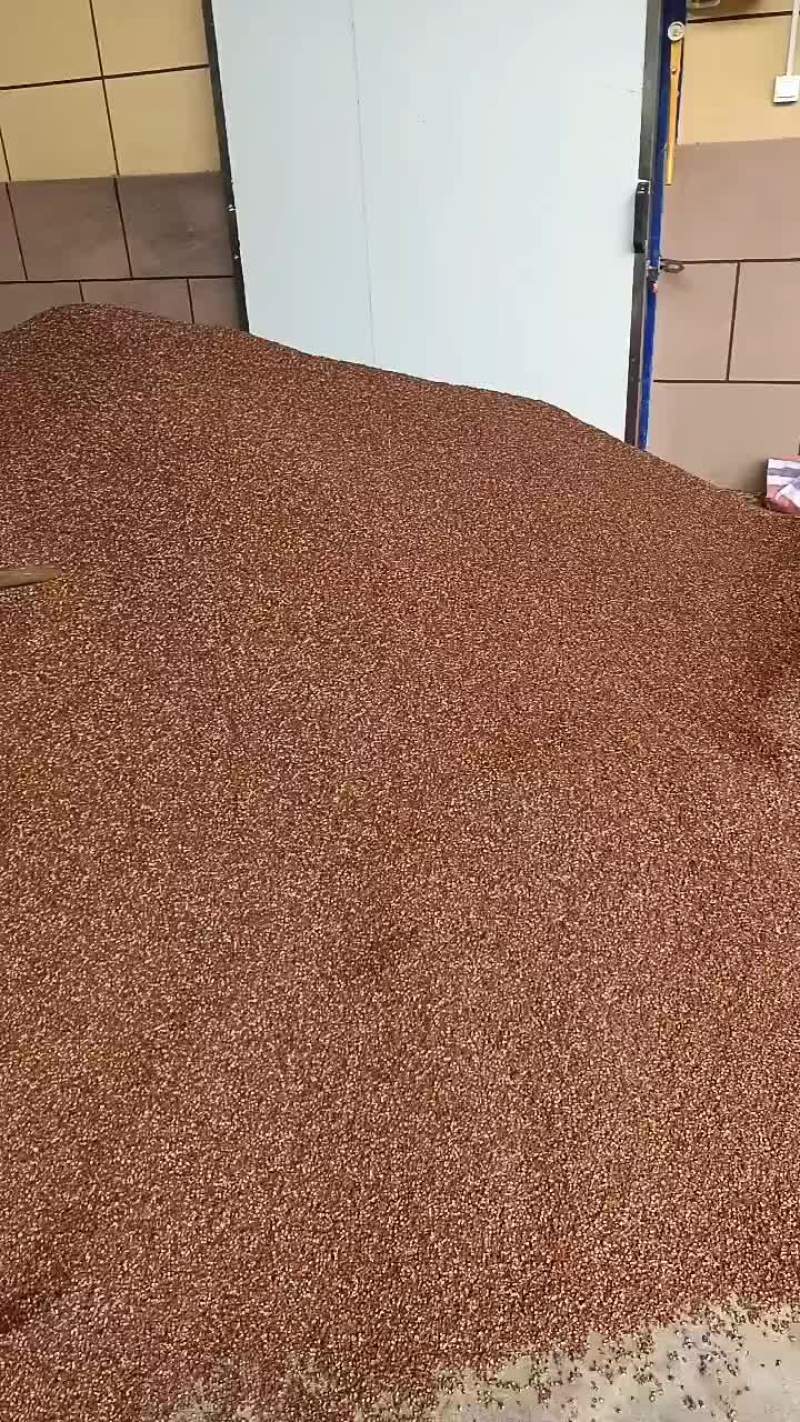 二红