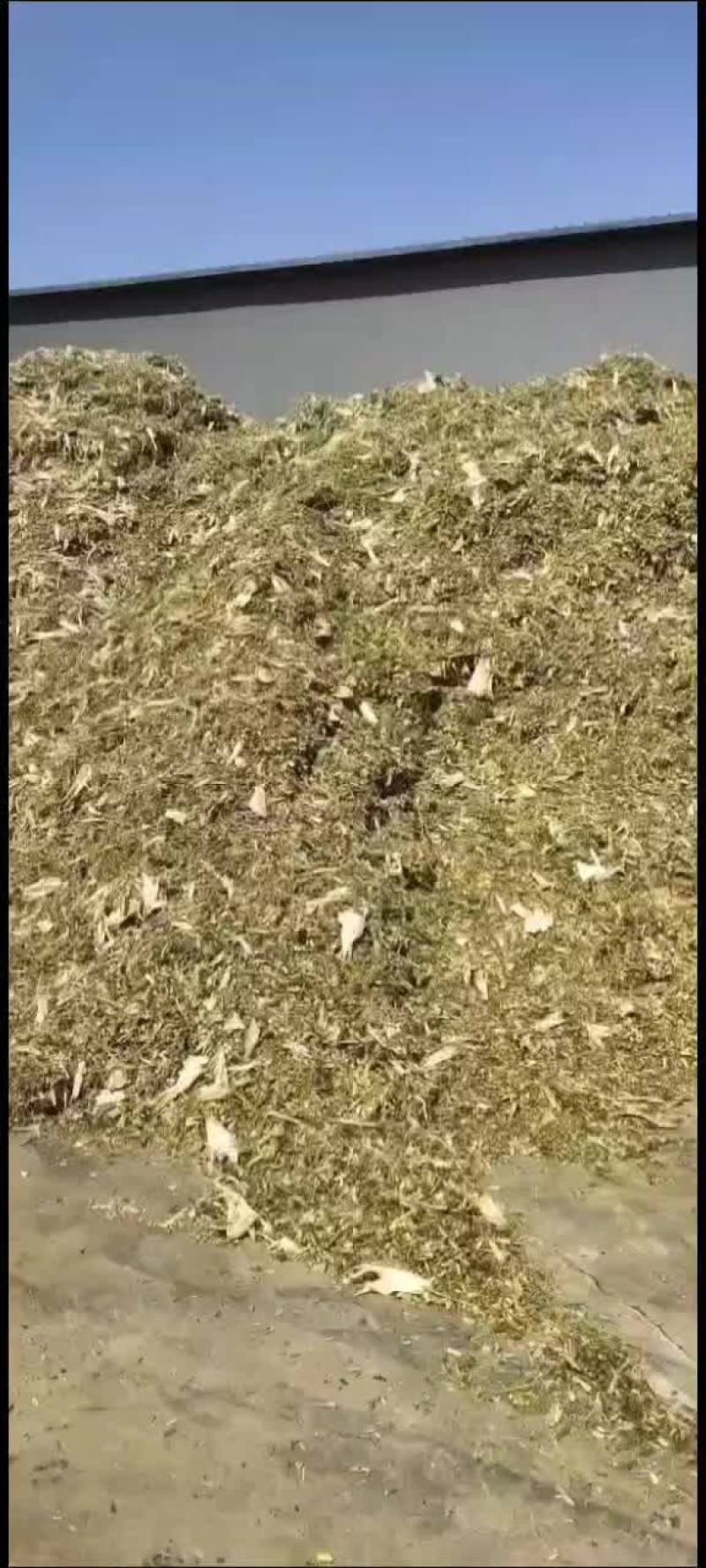 黄储