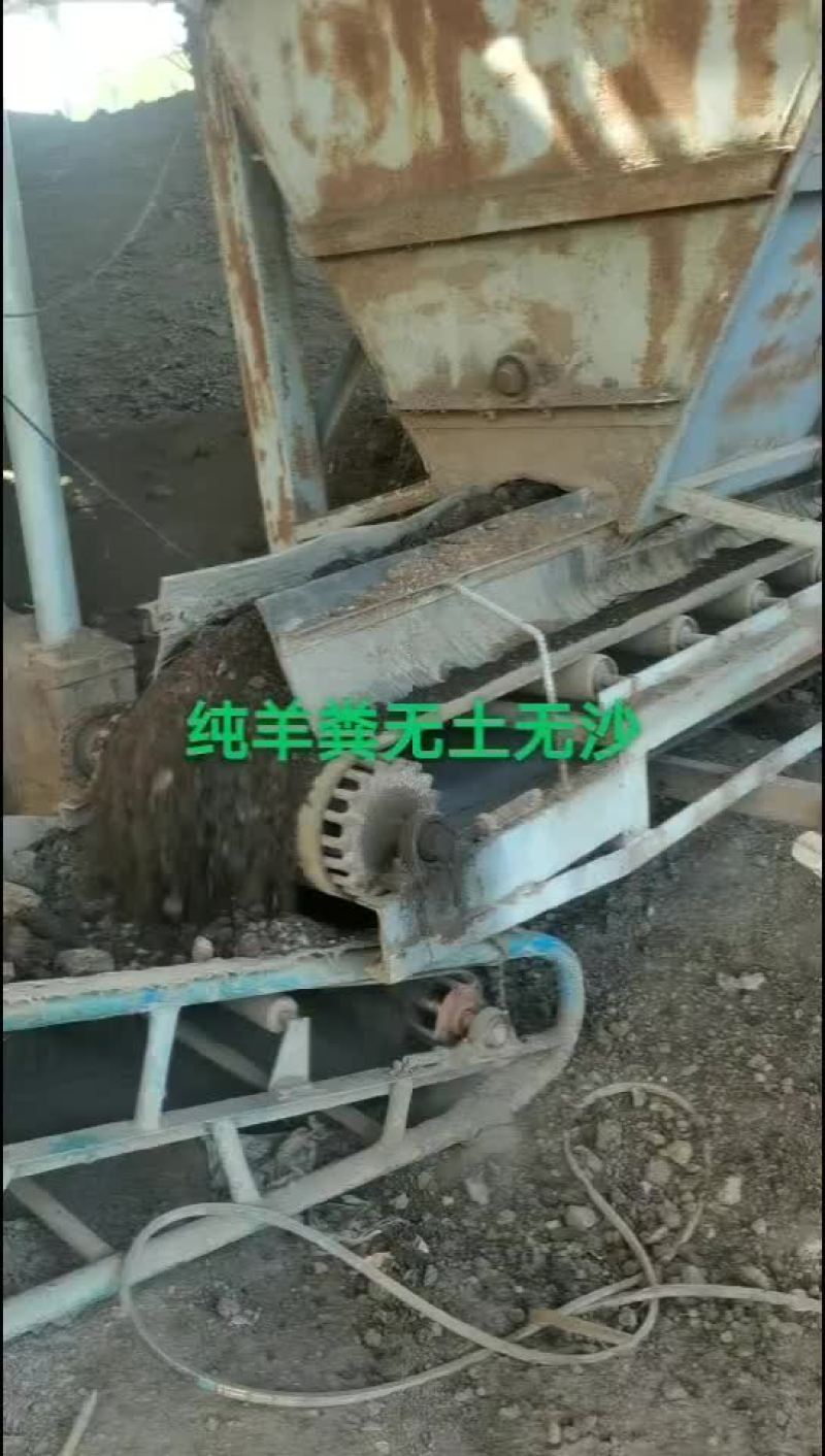 发酵纯羊粪鸡粪一手货源量大优惠