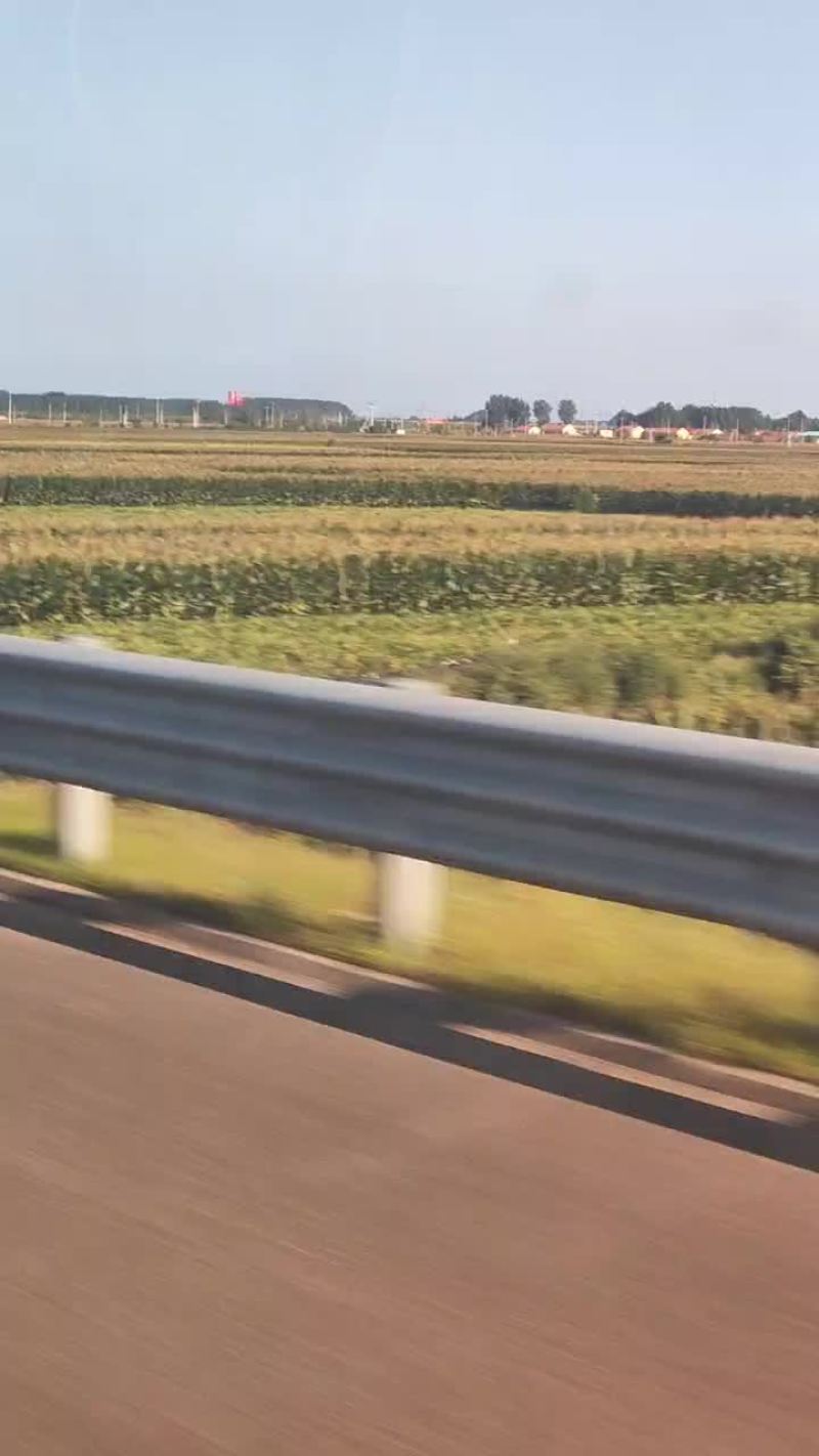 黄玉米棒