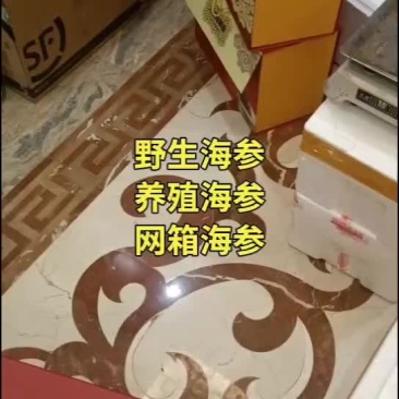 海参