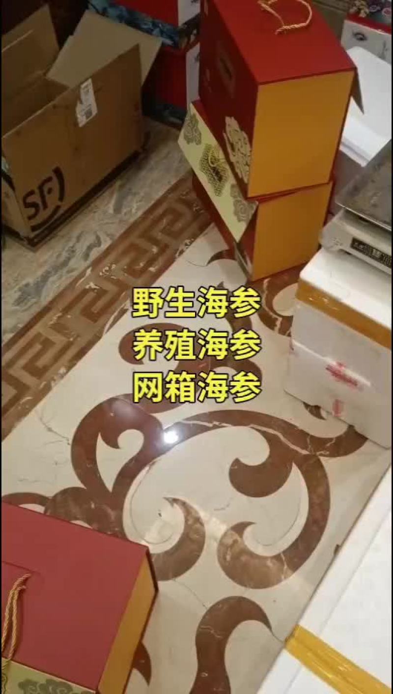 海参
