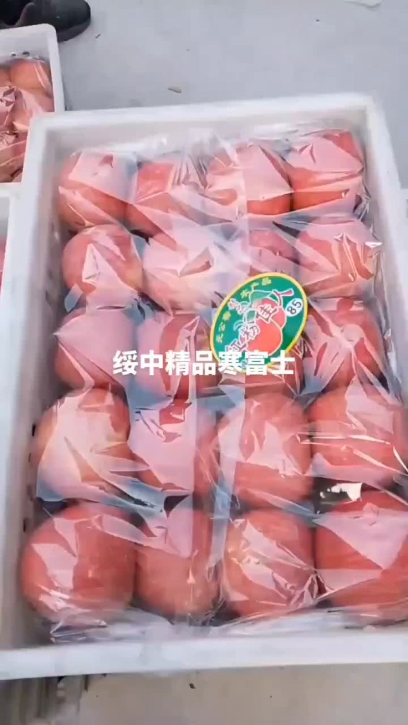 2023年寒富士上市
