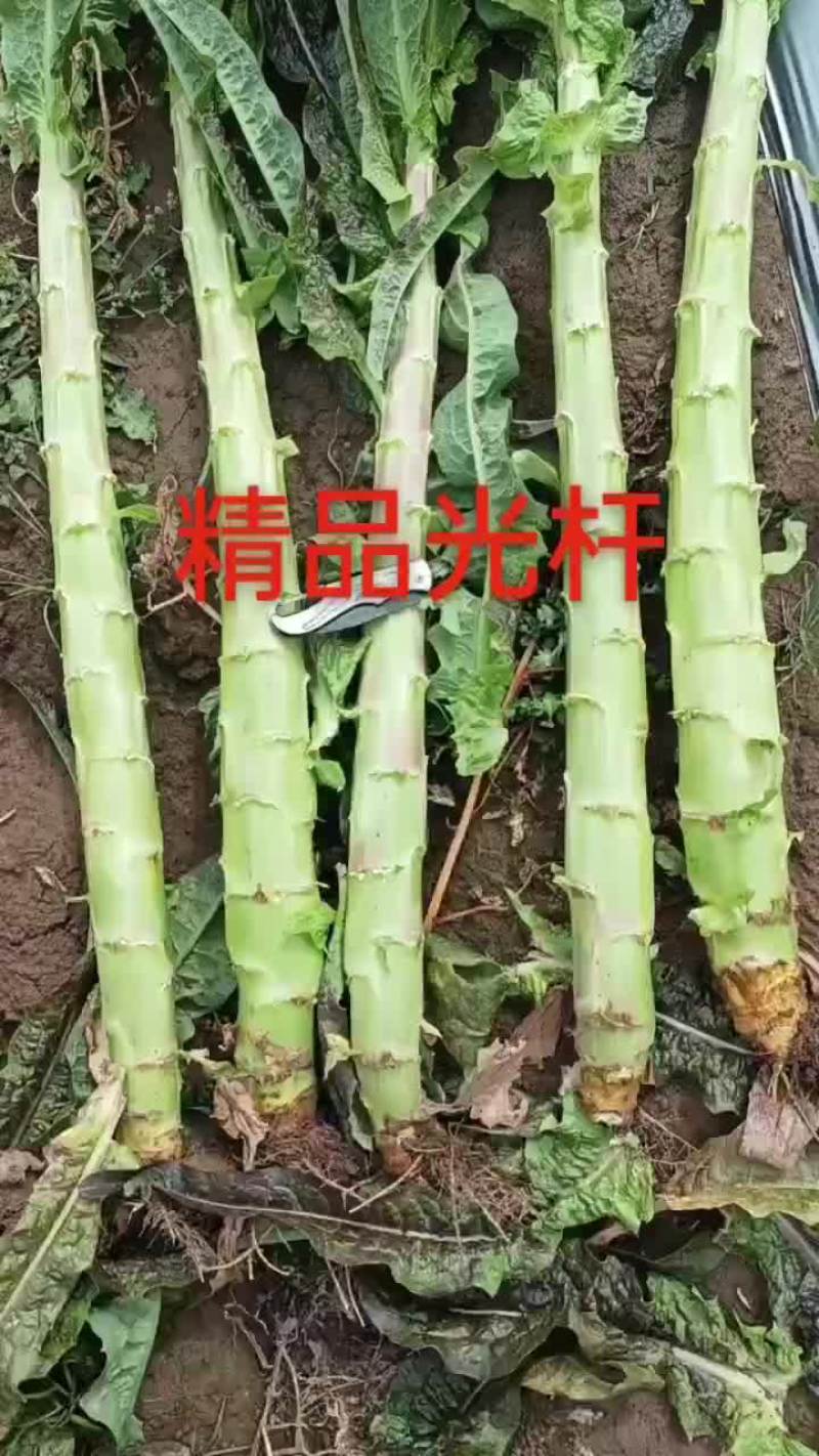 精品光杆，需要的下单