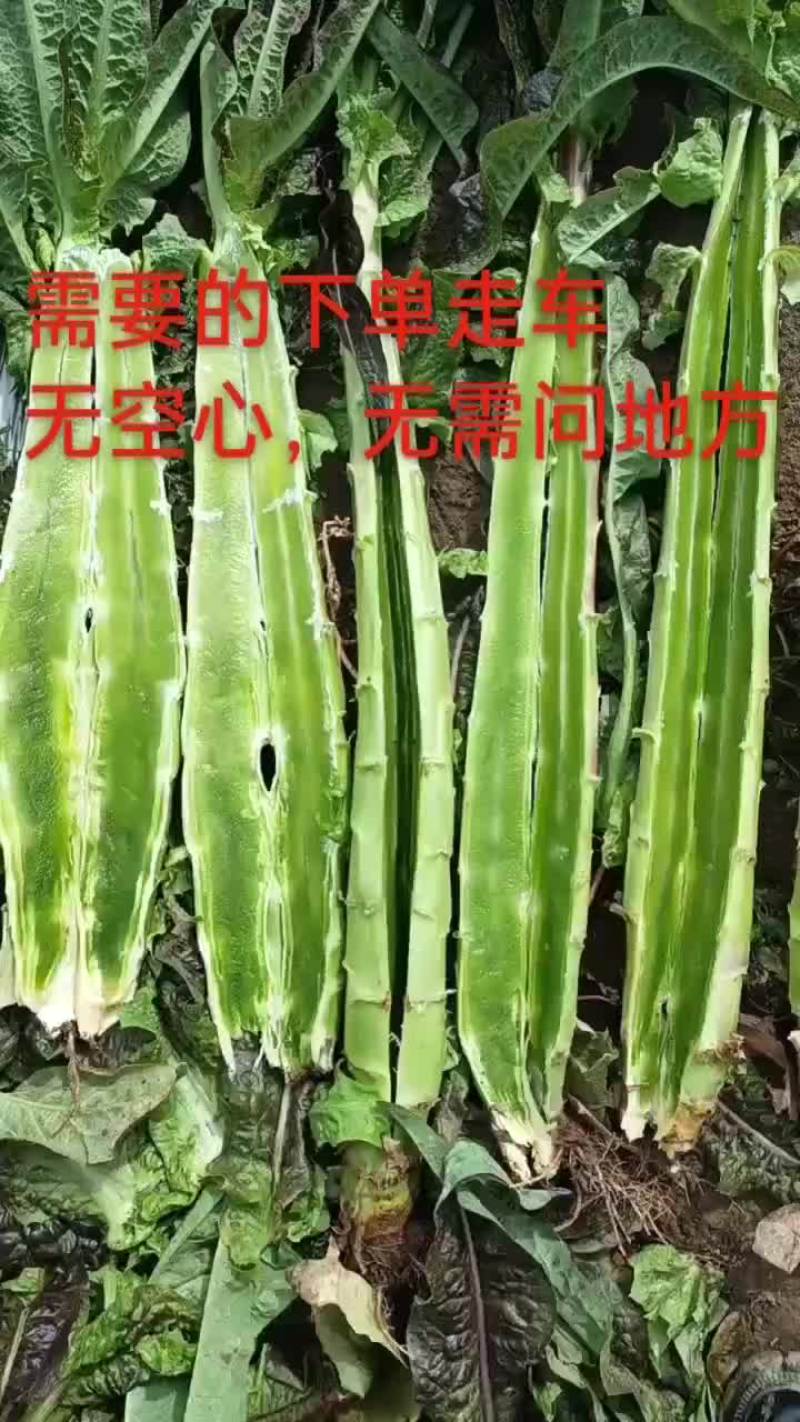 精品光杆，需要的下单