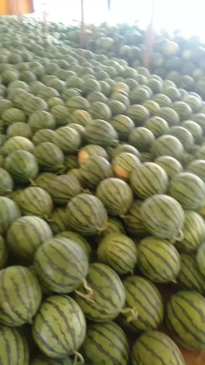 生姜5块钱1kg。
