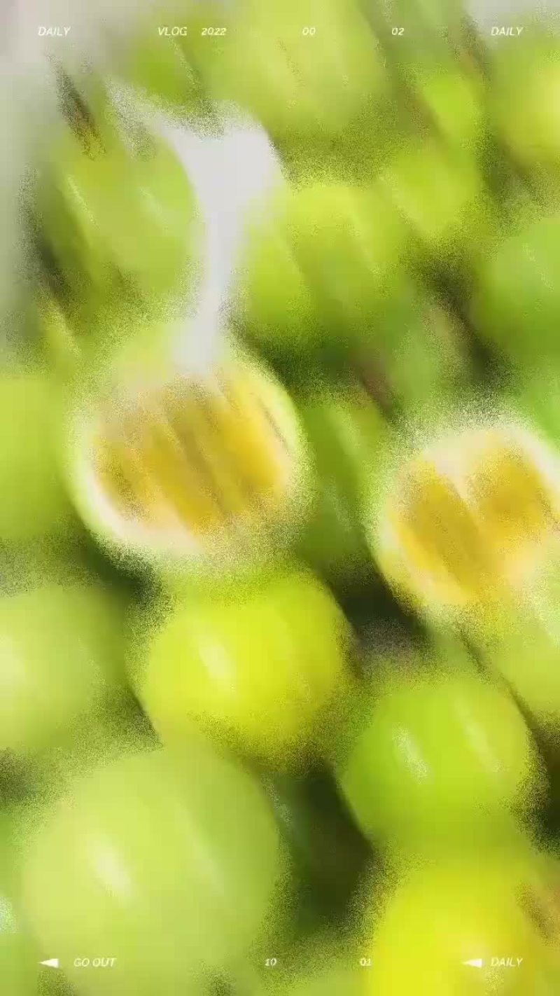 钦密九号百香果