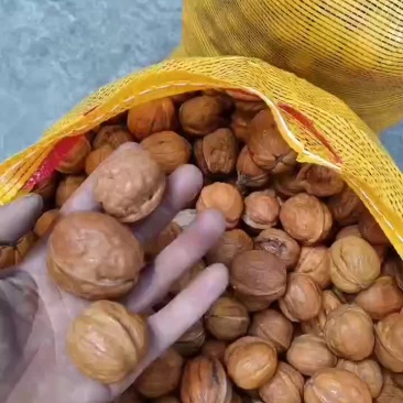 干核桃