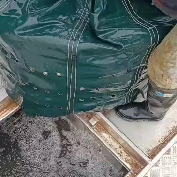 花鲢、大头、