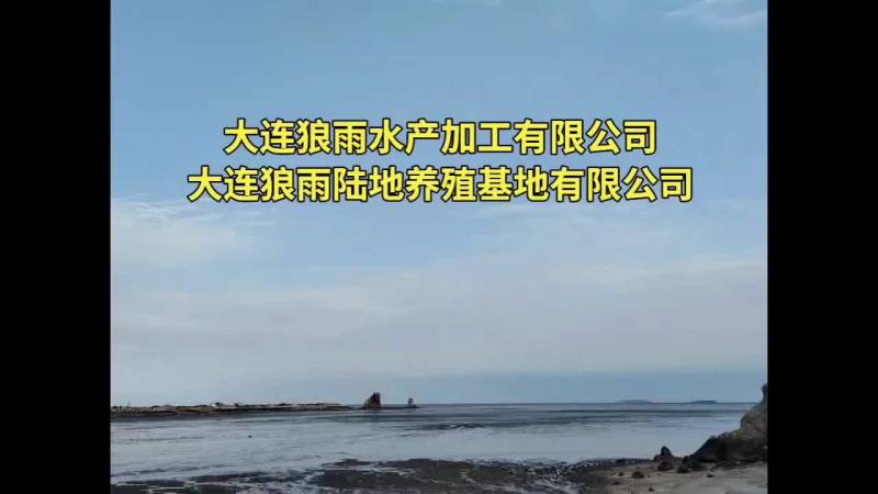 生蚝