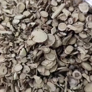 广豆根，春野生