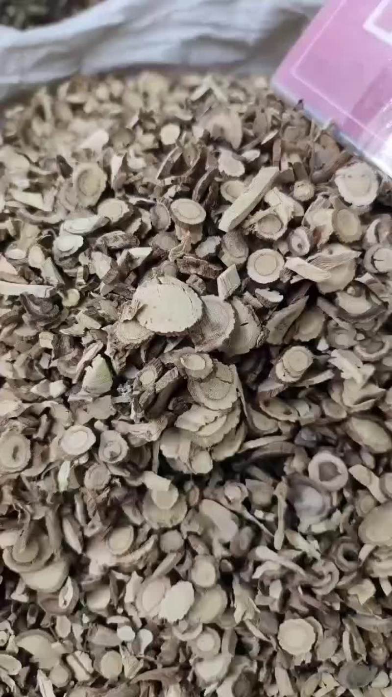 广豆根，春野生