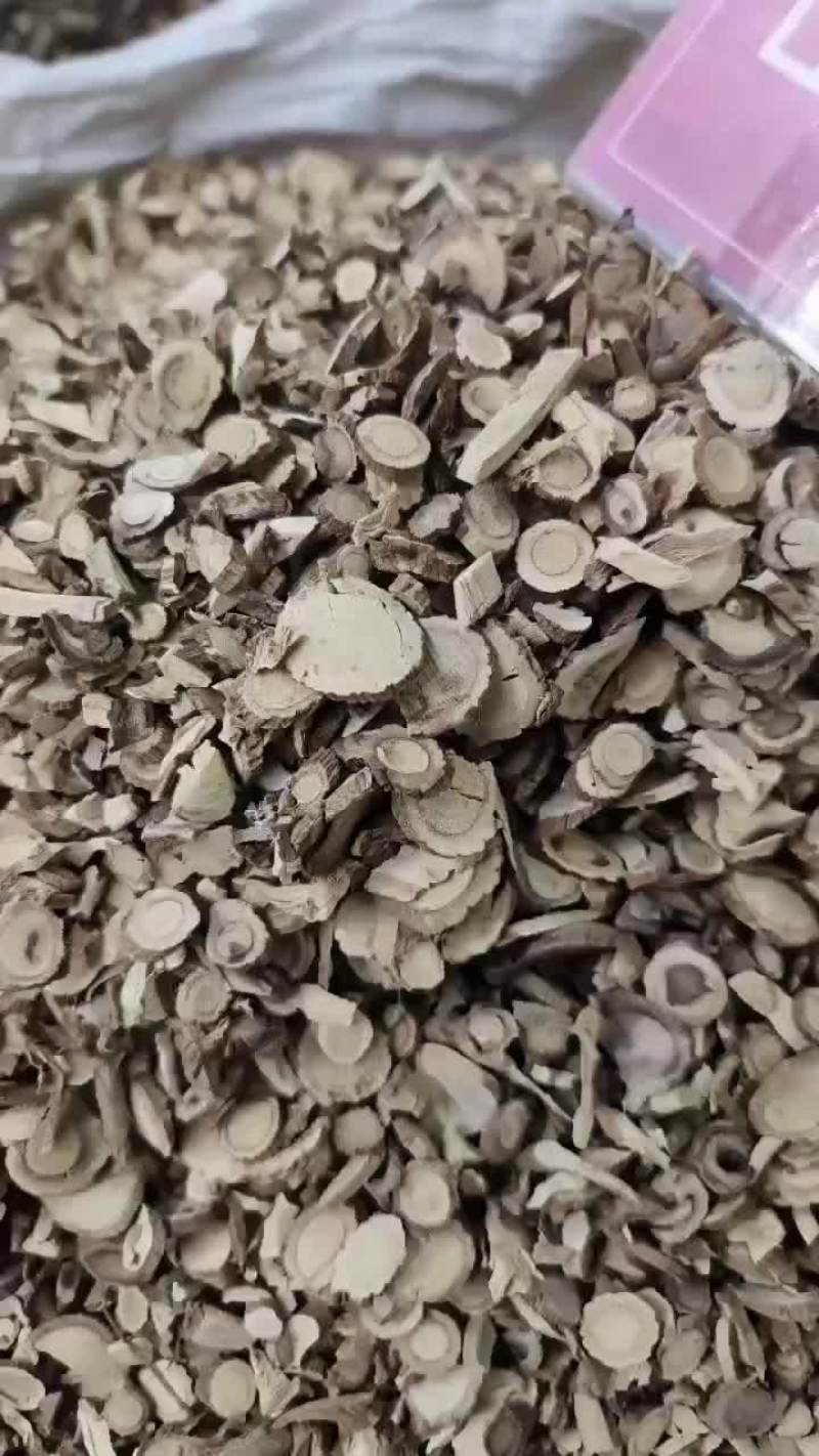 广豆根，春野生
