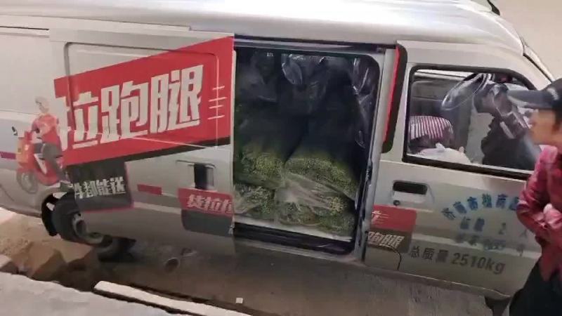 精品韭苔