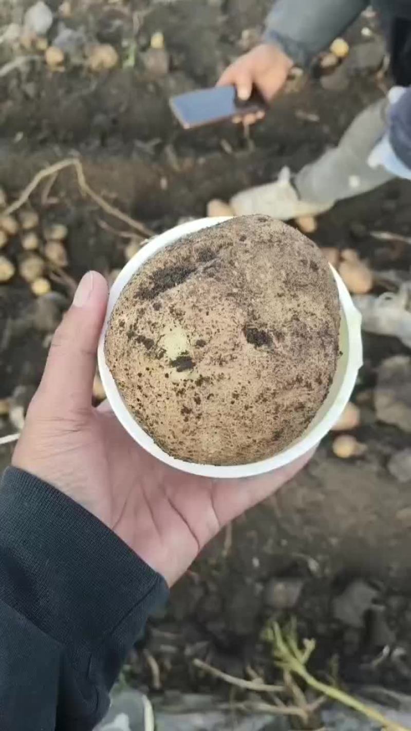 岩十三