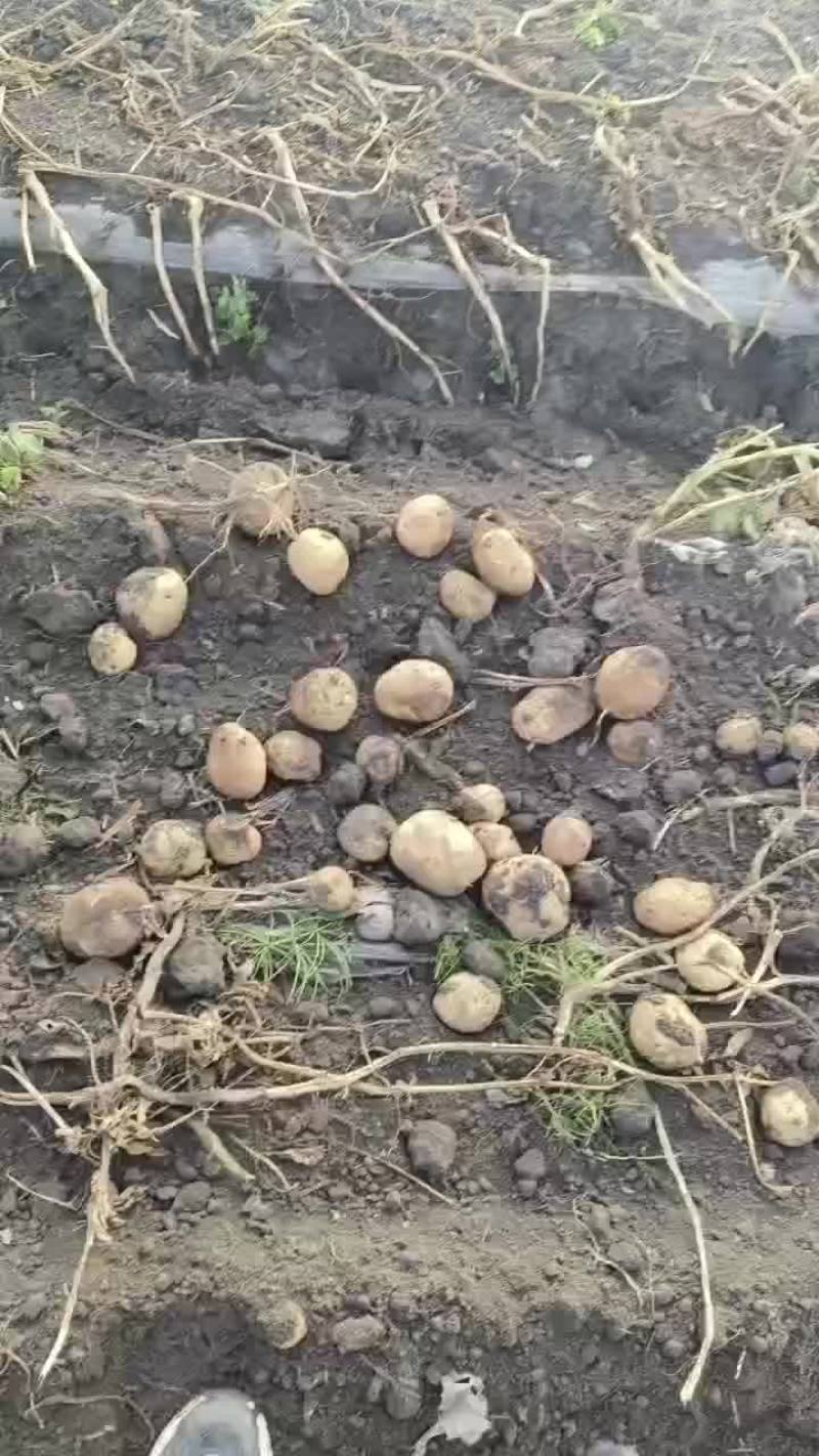岩十三