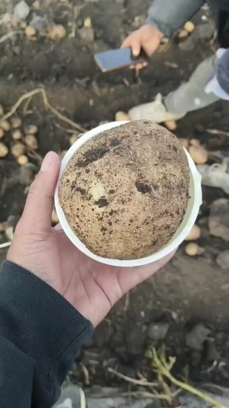 岩十三