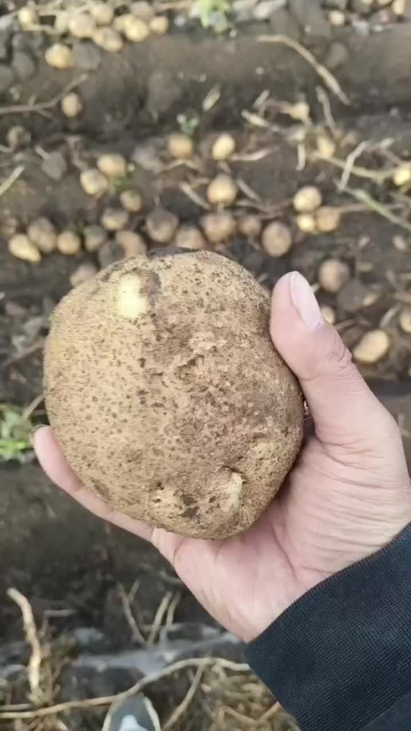岩十三