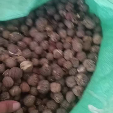 草寇