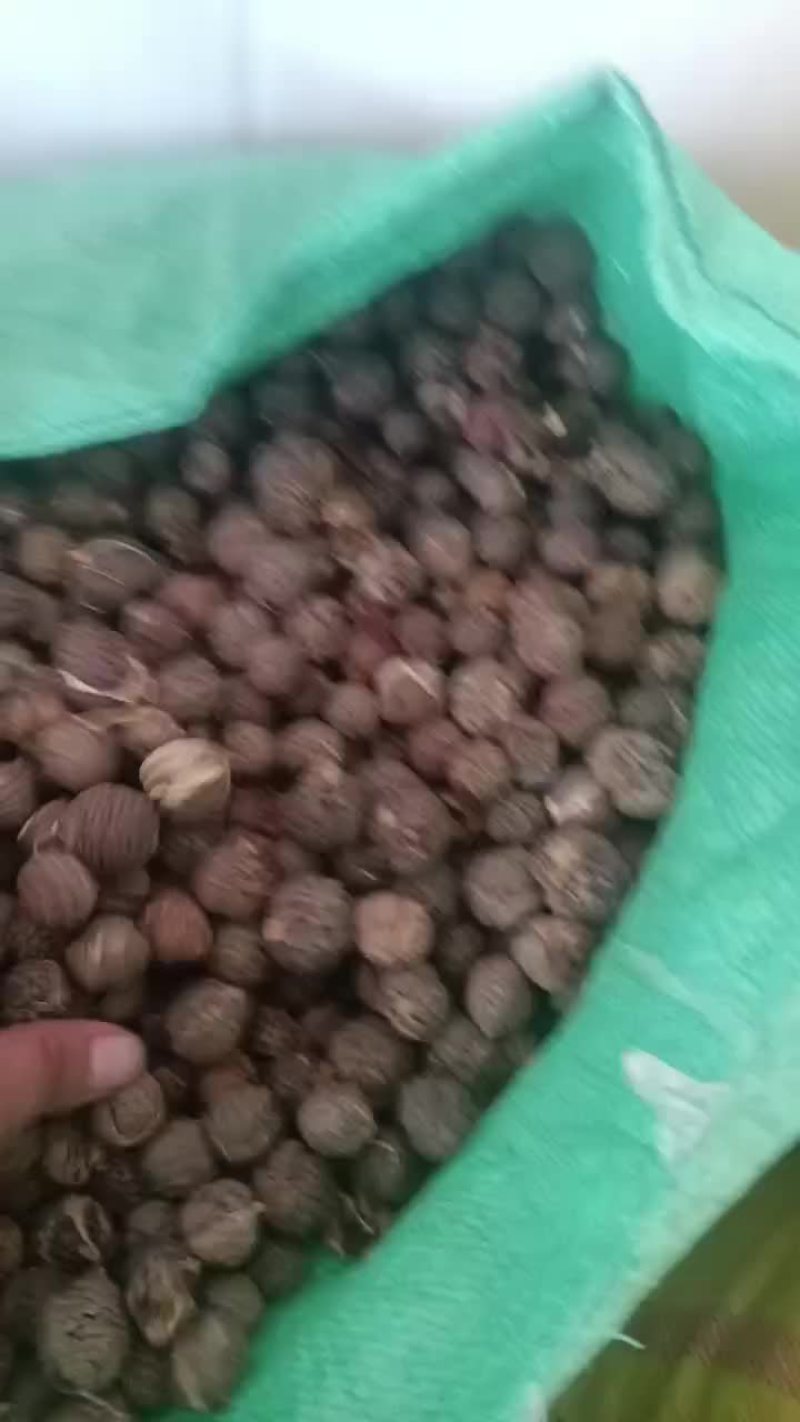 草寇