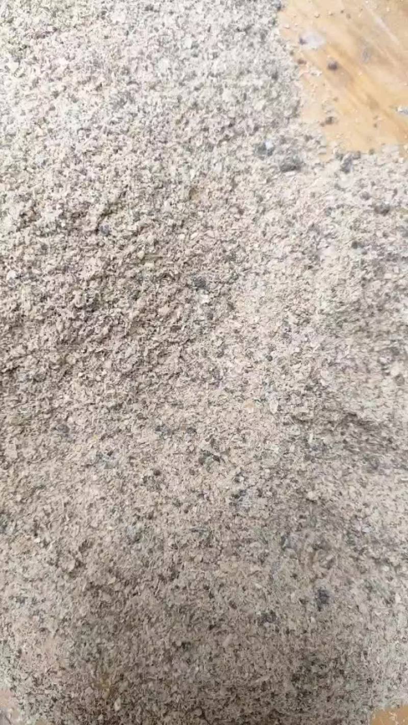 金猪宝贝
