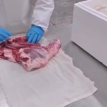 清真内蒙鲜羔羊后腿肉