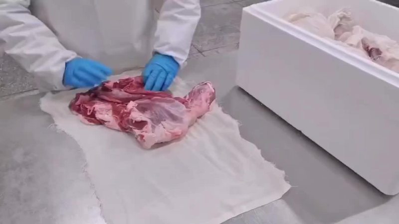 清真内蒙鲜羔羊后腿肉